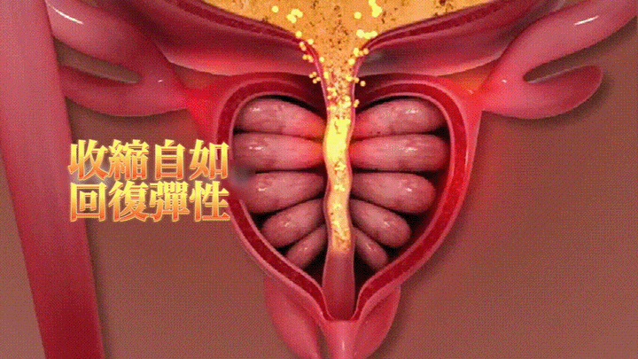 COD单页系统建站,联系QQ：/微信：Cod_web